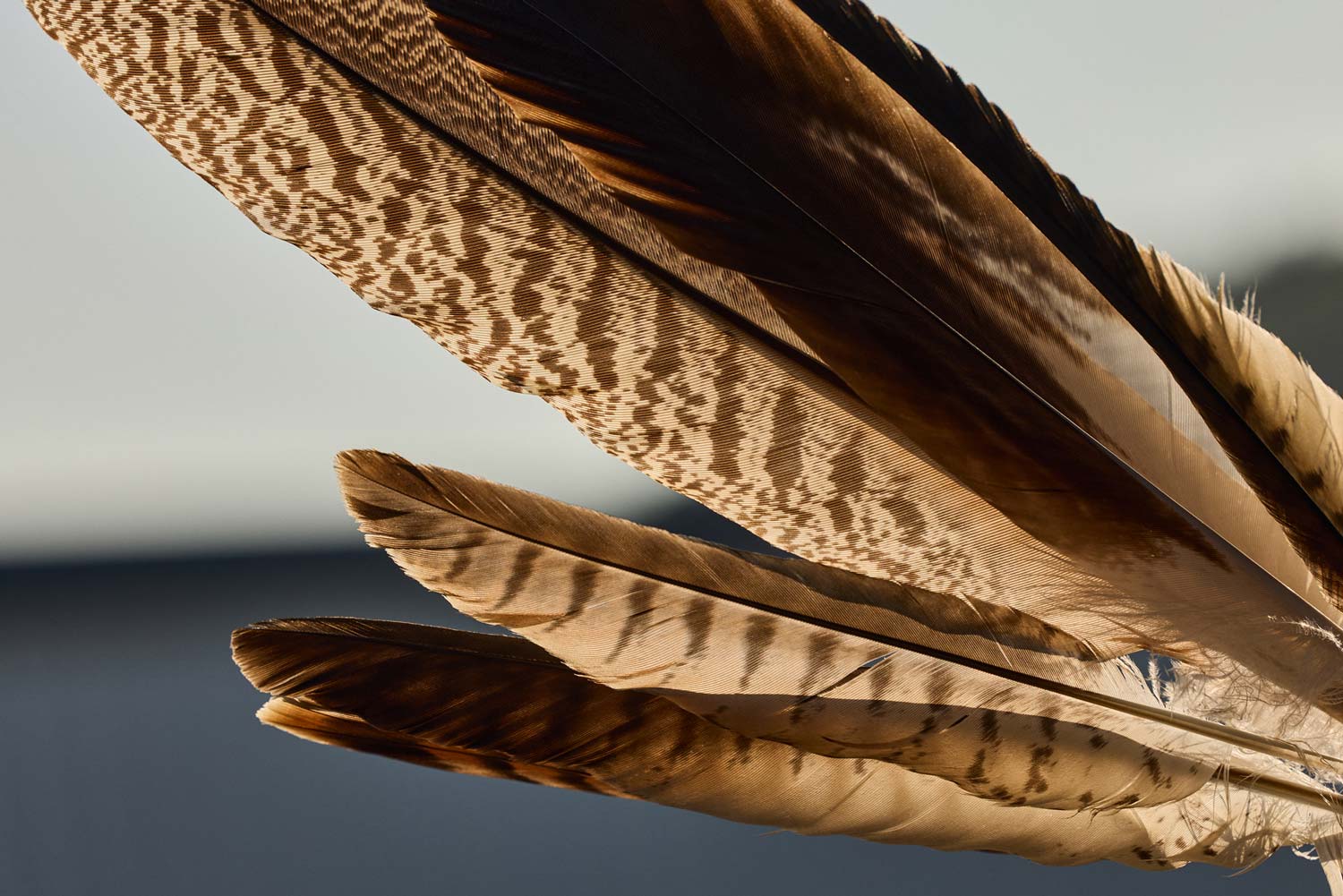 Daniel Rosenmund, Oberwil, BL. Kurse und Seminare. Themen: Medium, Medialität, Zirkel, Üben in der Gruppe, Meditation, Geistige Welt, Trauer, Verlust, Heilung